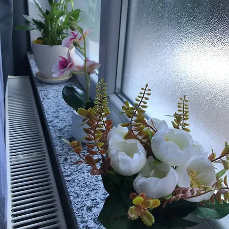 Apartament Graciaa